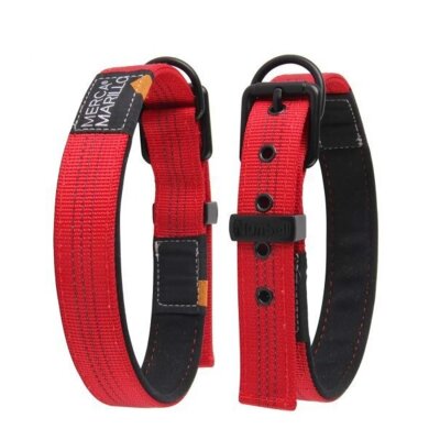 Nunbell Köpek Boyun Tasması 22-32 cm Turkuaz