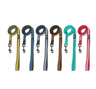 Nunbell 2 cm Köpek Gezdirme Kayışı