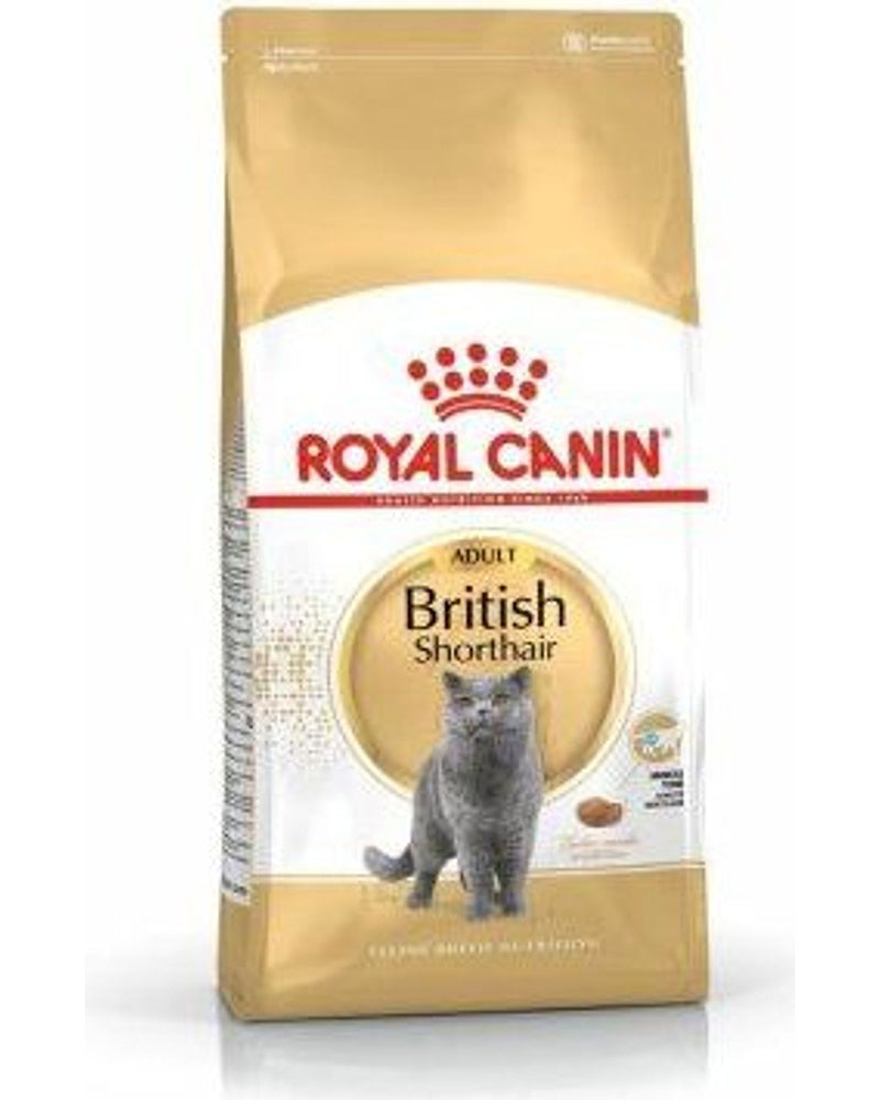 Royal Canin British Shorthair Irka Özel Yetişkin Kedi Maması 4 kg