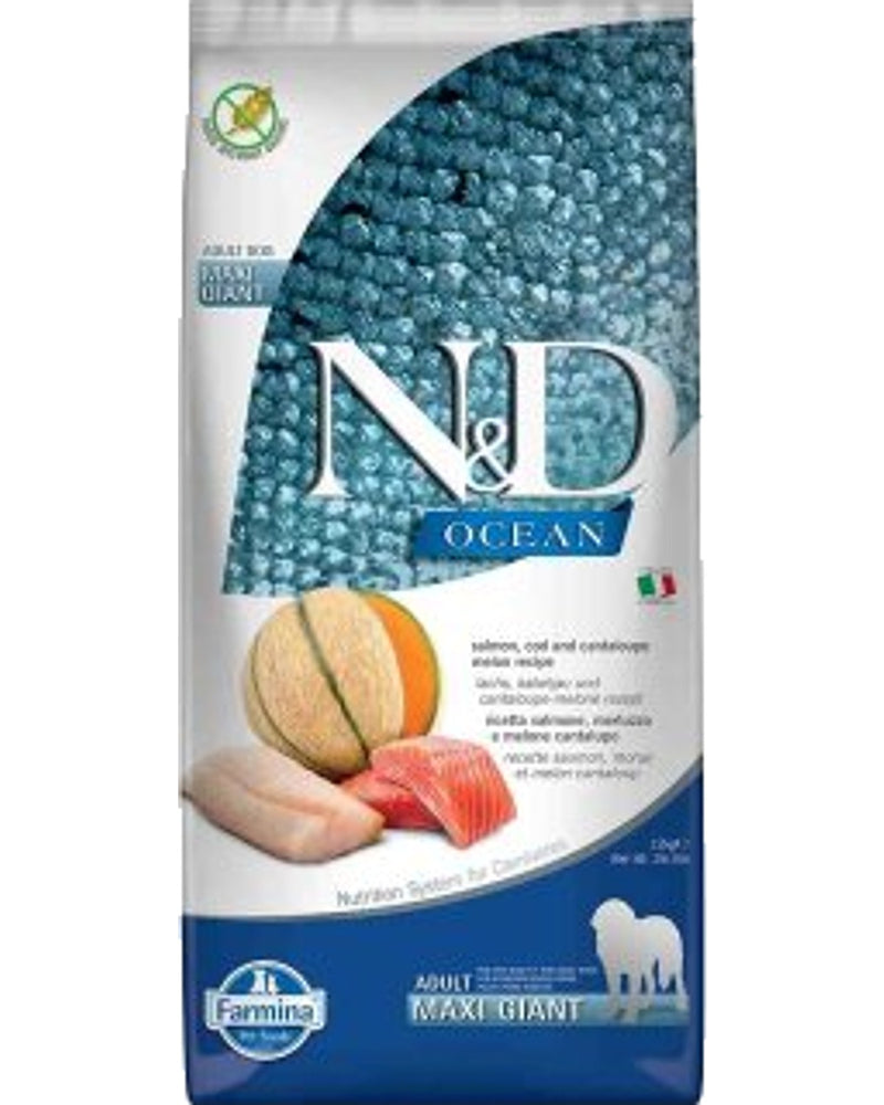 N&D Ocean Somon Morina Balıklı Tahılsız Büyük Irk Köpek Maması 12 kg