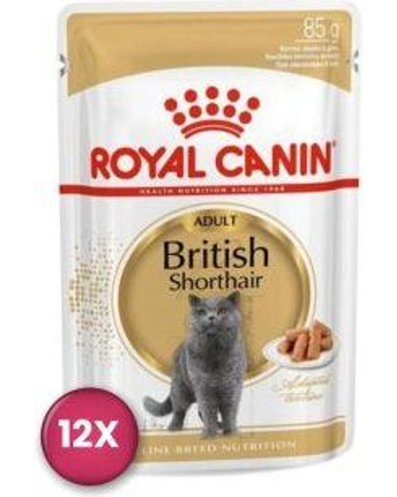 Royal Canin British Shorthair Yetişkin Yaş Kedi Maması 85 gr x 12