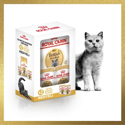 Royal Canin British Shorthair Yetişkin Kedi Maması 2 kg + 2 Pouch