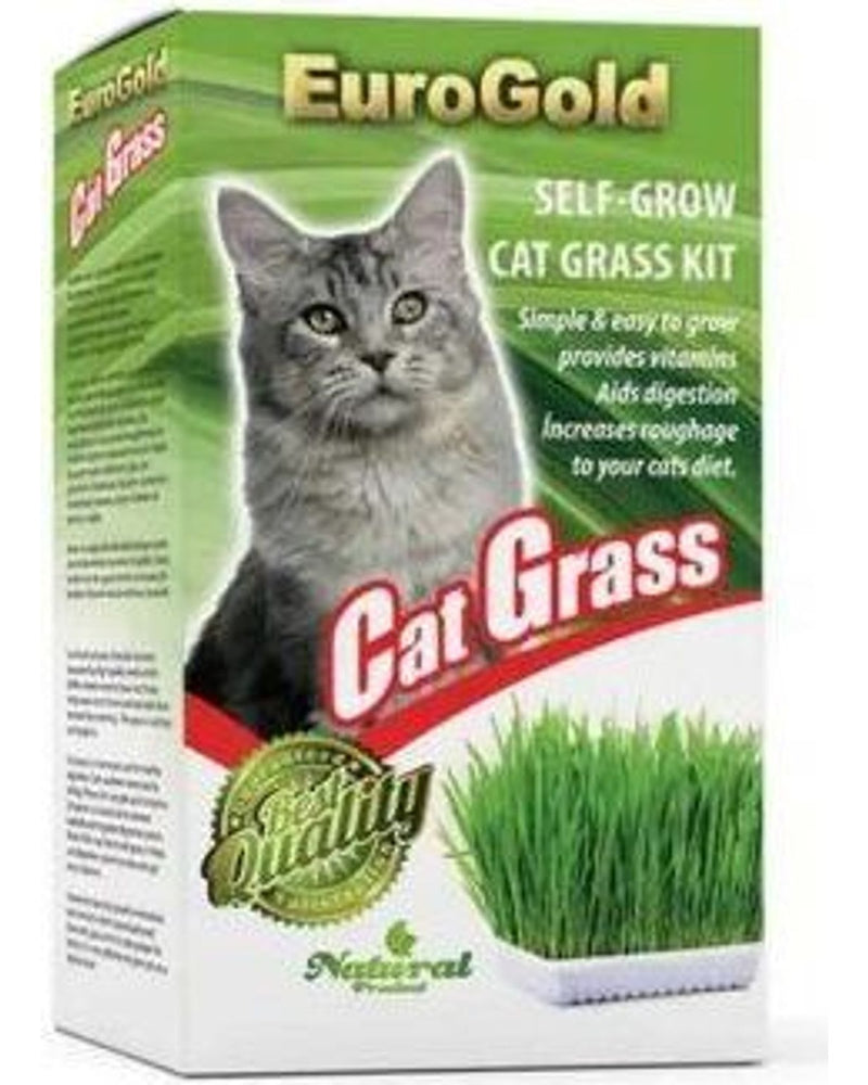 Topraksız Hijyenik Kedi Çimi