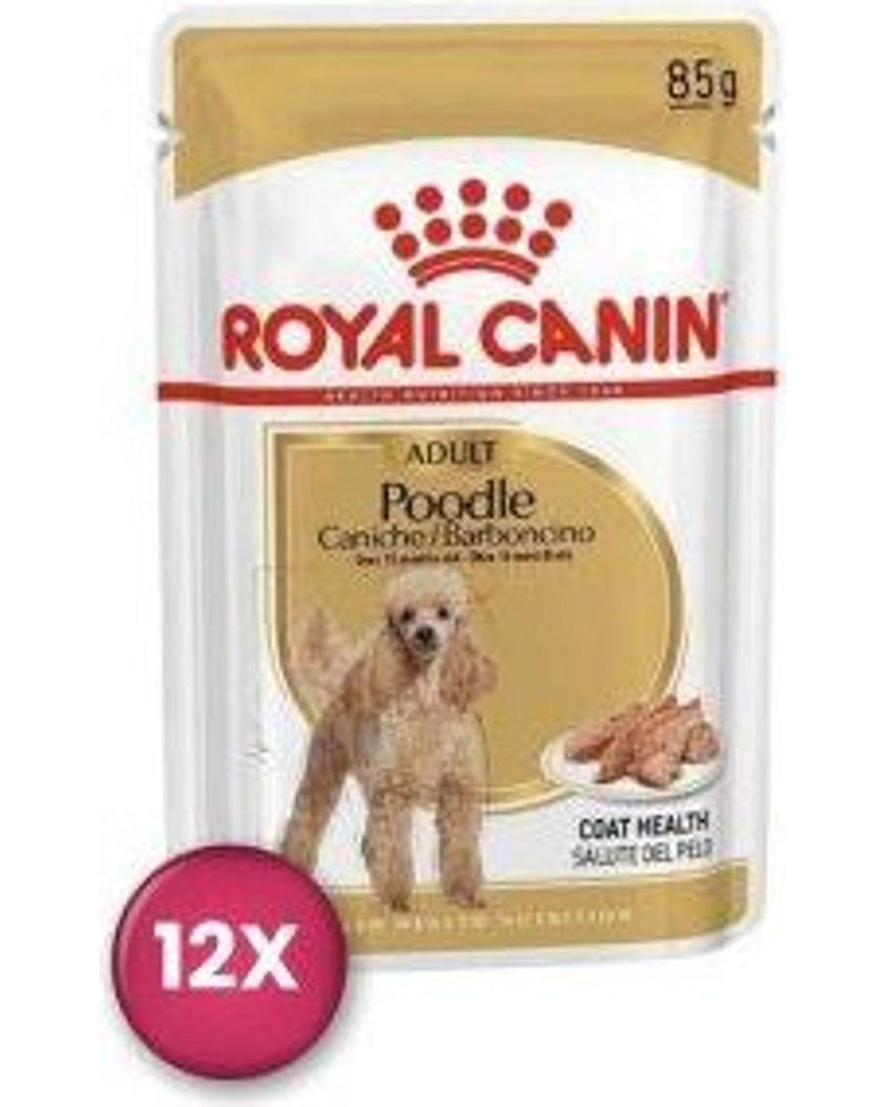 Royal Canin Poodle Yetişkin Köpek Yaş Maması 85 gr x 12