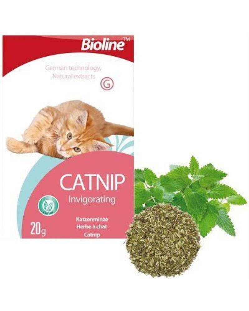 Bioline %100 Doğal Toz Kedi Nanesi (Catnip) 20 gr