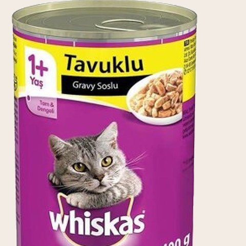 Yaş Mama