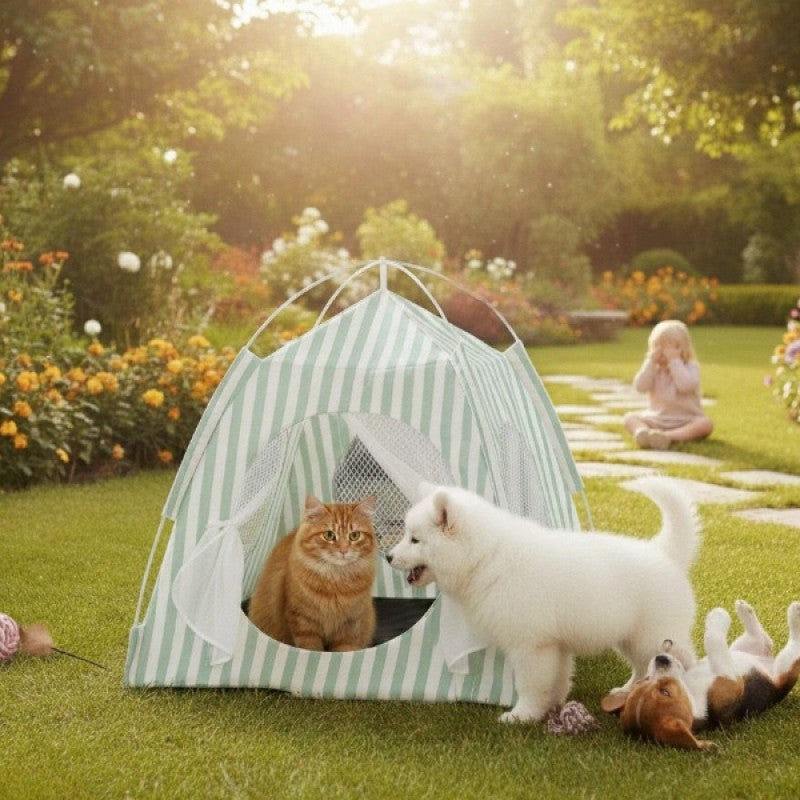 File Pencereli Katlanabilir Kedi ve Küçük Köpek Oyun Çadırı