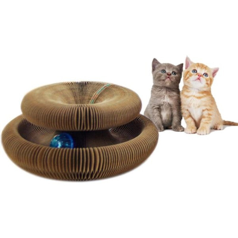 Şekillendirilebilir Kedi Oyun ve Hareket Alanı