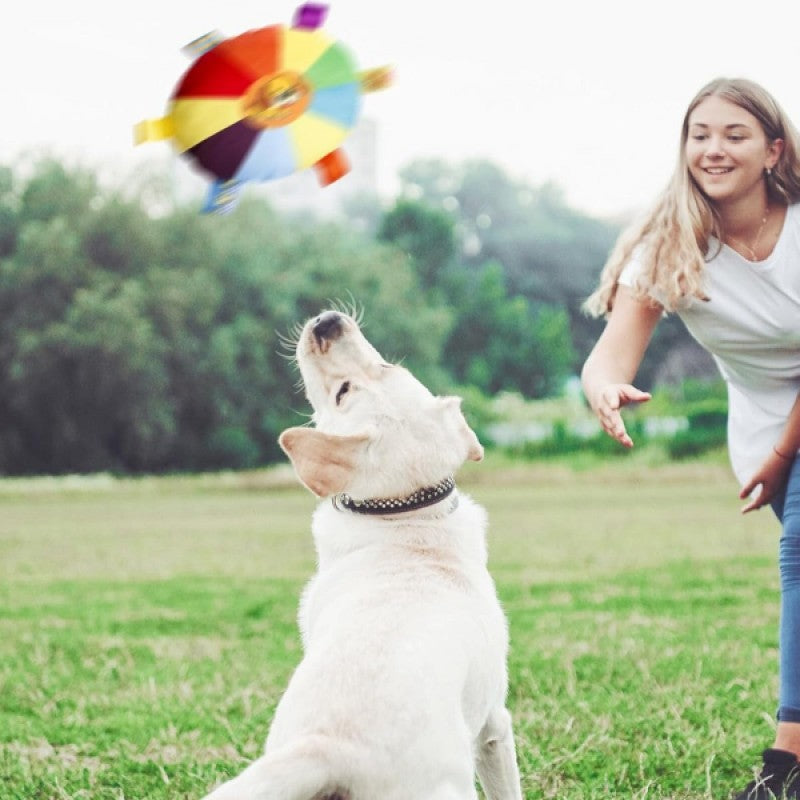 Çıngıraklı Yumuşak Peluş Köpek Frizbisi