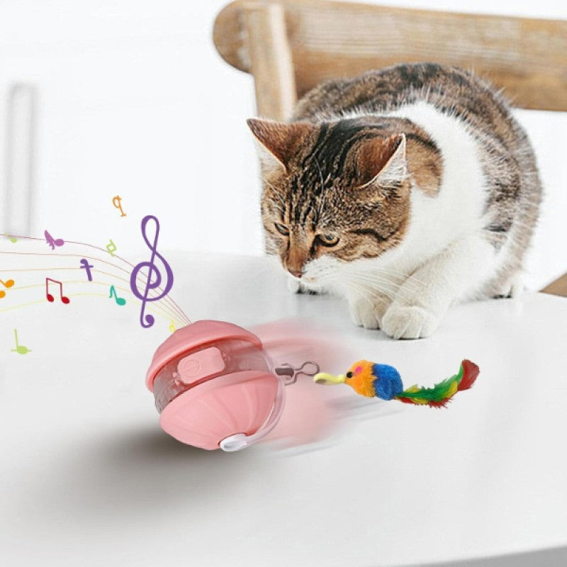 USB Şarjlı Otomatik Hareketli Kedi Oyun Topu