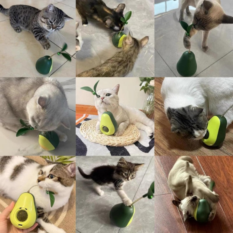 Kedi Otlu Mama Hazneli Avokado Kedi Oyuncağı