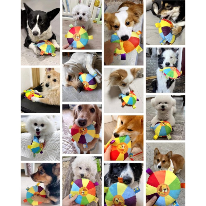 Çıngıraklı Yumuşak Peluş Köpek Frizbisi