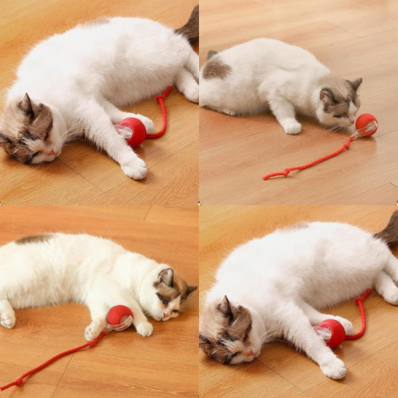 Şarjlı Titreşimli Uzun İpli Kedi Oyuncağı