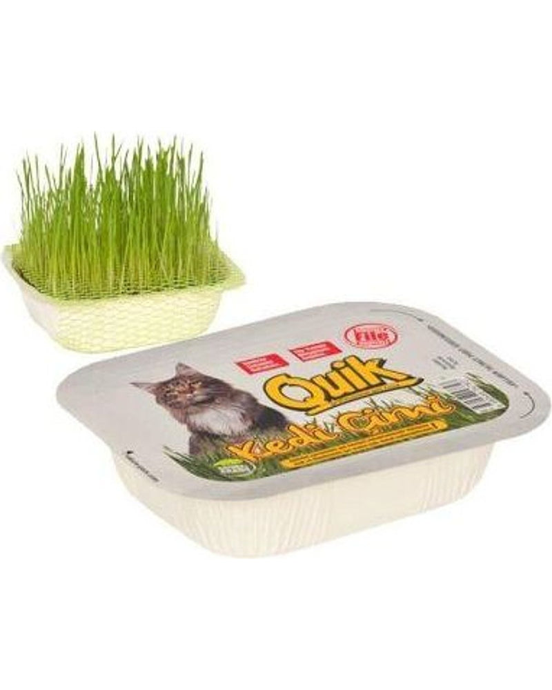 Quik Fileli Doğal Kedi Çimi Tohumu Seti