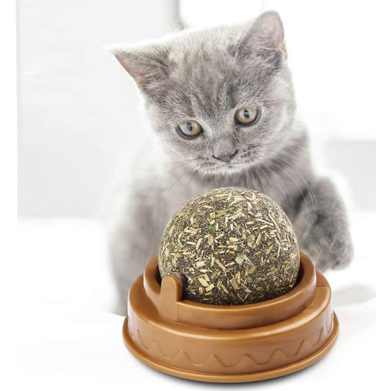 Kedi Nanesi Dolgulu Oyun Topu