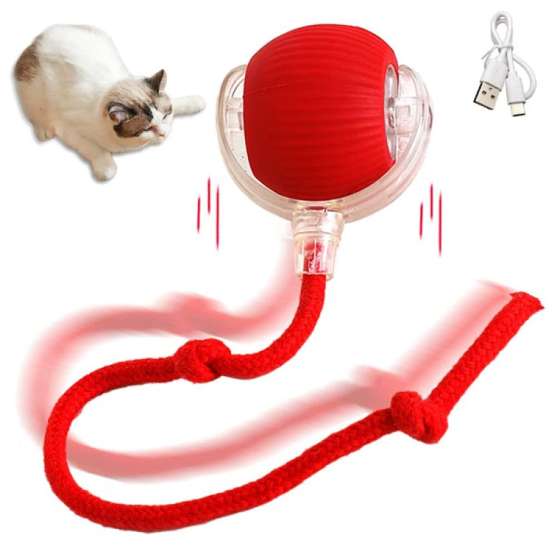 Şarjlı Titreşimli Uzun İpli Kedi Oyuncağı