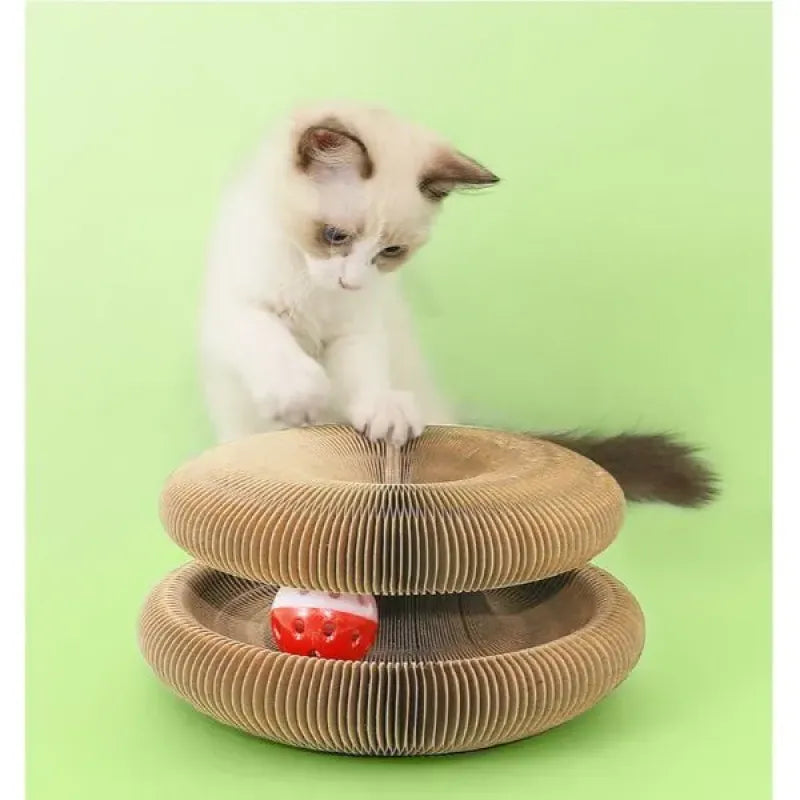 Şekillendirilebilir Kedi Oyun ve Hareket Alanı