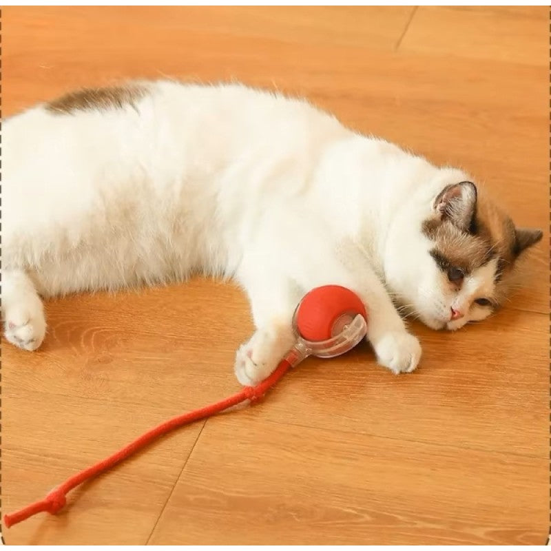 Şarjlı Titreşimli Uzun İpli Kedi Oyuncağı