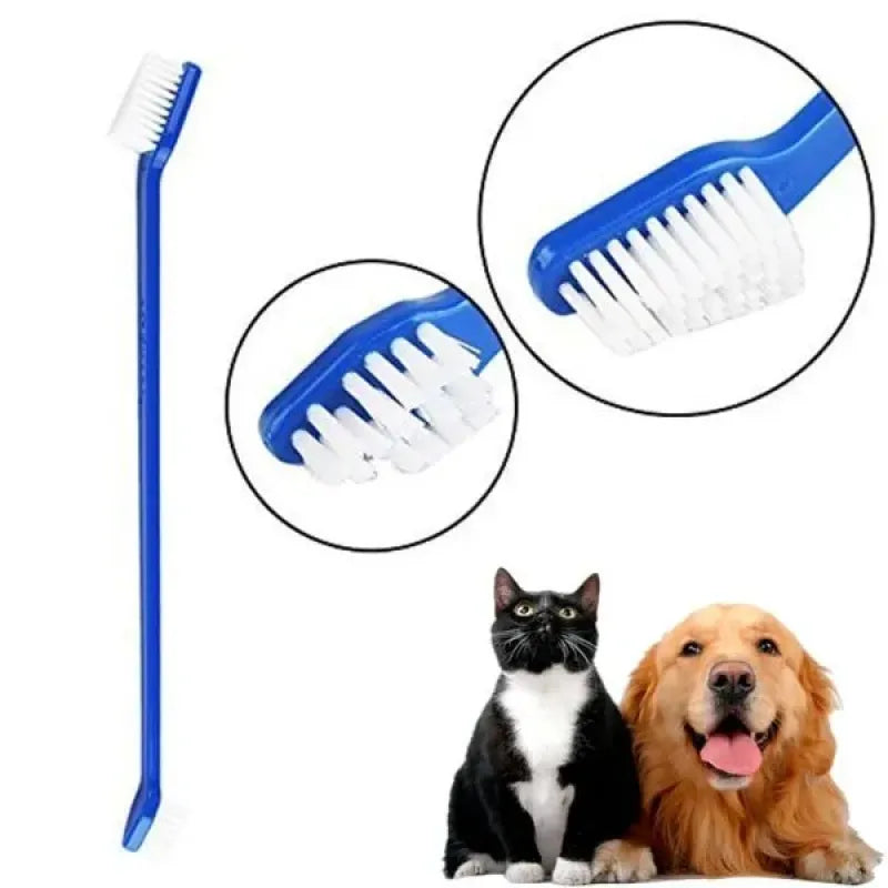 Plastik Köpek Diş Fırçası (3 Adet)