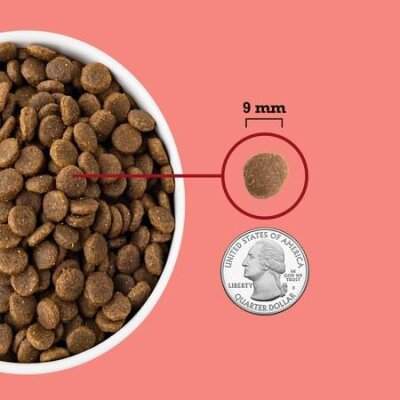 Yüksek Proteinli Tavuk ve Balıklı Ev Kedisi Maması 1,8 kg