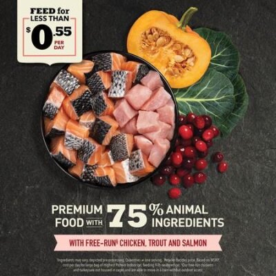 Acana Indoor Tahılsız Tavuk-Balıklı Yetişkin Kedi Maması 4,5 kg