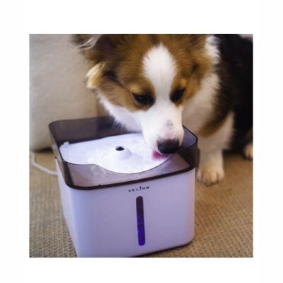 Aclıum Filtreli Sessiz Otomatik Köpek Su Pınarı 2,4 L