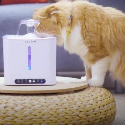 Aclıum Üçlü Filtreli Sensörlü Kedi Su Pınarı 2,4 L
