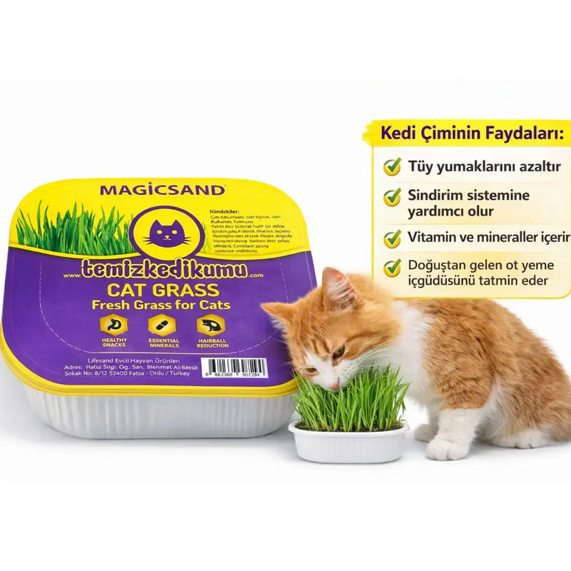 Doğal Tüy Yumağı Önleyici Kedi Çimi (File Hediyeli)