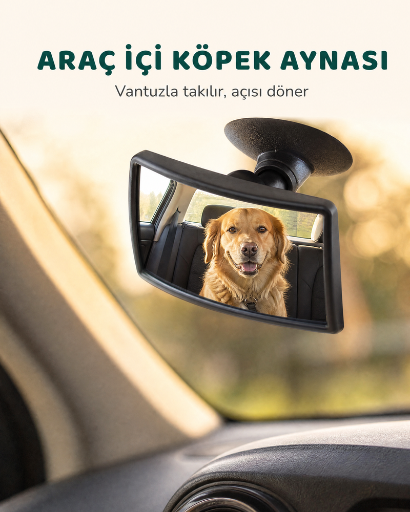 Araç İçi Köpek Aynası (Mini)