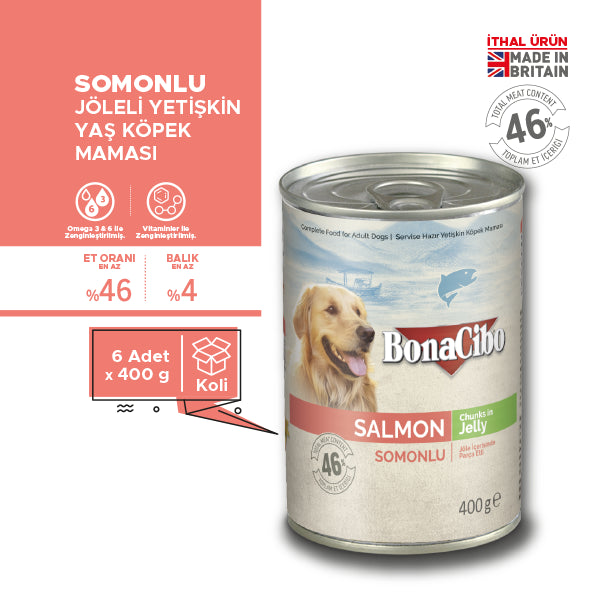 BonaCibo Jöleli Somonlu Yetişkin Köpek Yaş Maması 400 gr x 6