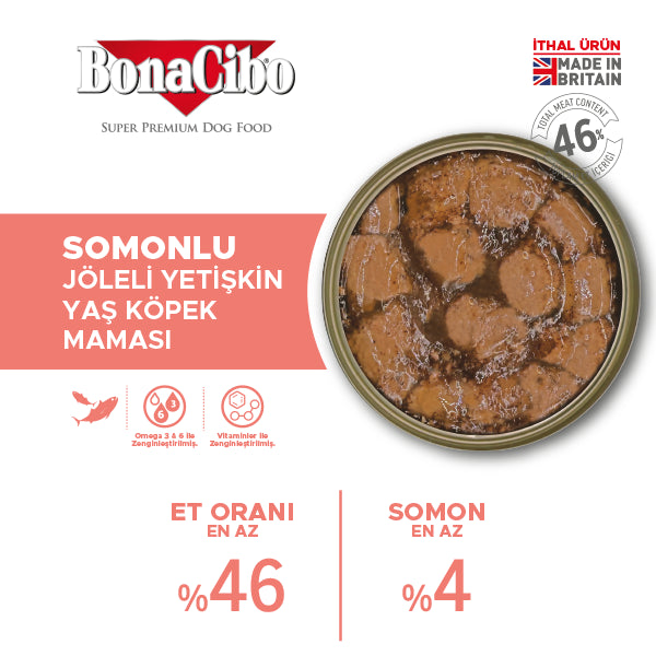 BonaCibo Jöleli Somonlu Yetişkin Köpek Yaş Maması 400 gr x 6