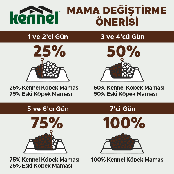 Kennel Yetişkin Köpek Kuru Maması 100 gr x 5