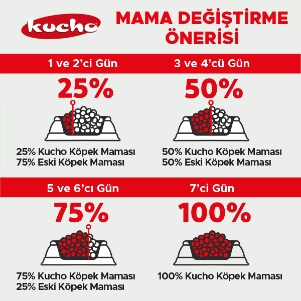 Kucho Kuzu Etli Hassas Sindirim Yetişkin Köpek Maması 100 gr x 5