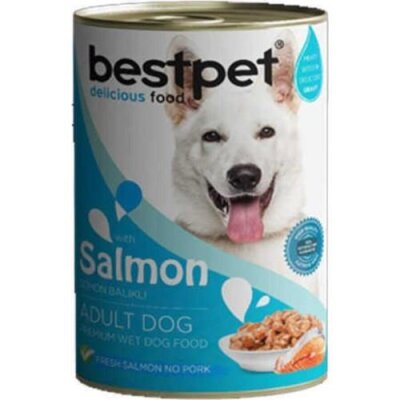 Bestpet Jöle İçinde Parça Balıklı Yetişkin Köpek Konservesi 400 gr