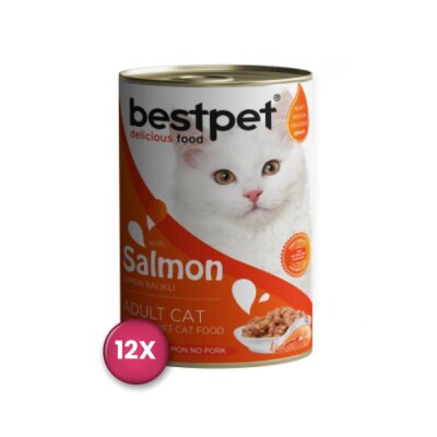 Bestpet Somonlu Yetişkin Kedi Konservesi 400 gr x 12