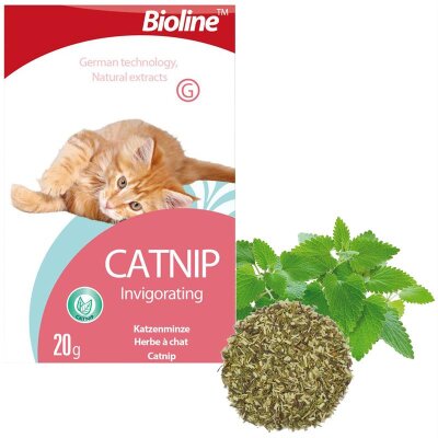 Bioline %100 Doğal Toz Kedi Nanesi (Catnip) 20 gr