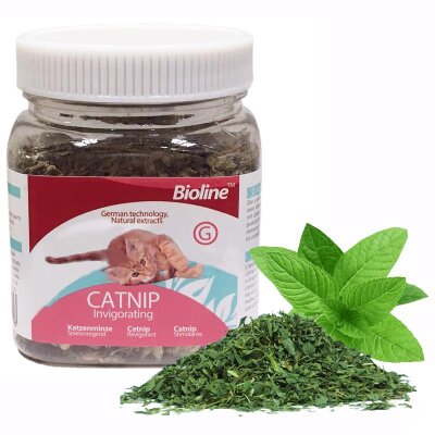 Doğal Toz Kedi Otu (Catnip) 20 gr