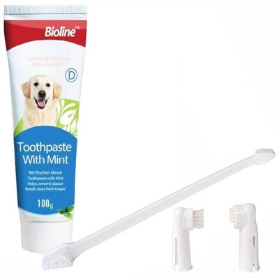 Bioline Nane Aromalı Köpek Diş Macunu ve Fırça Seti 100 gr