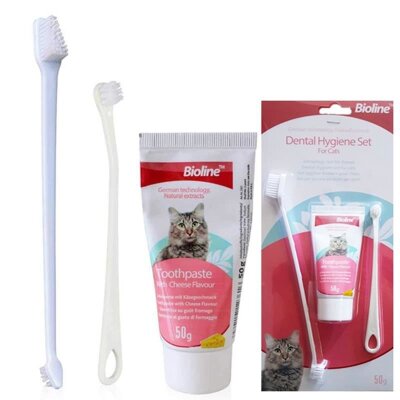 Bioline Peynir Aromalı Macun ve 2 Fırçalı Kedi Ağız Bakım Seti