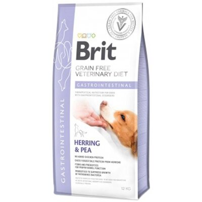 Sindirim Destekli Tahılsız Veteriner Diyet Köpek Maması 12 kg
