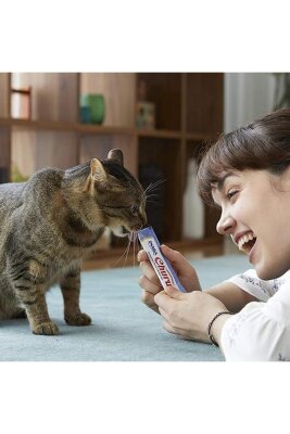 Ciao Churu Tavuklu ve Deniz Taraklı Krema Kedi Ödülü 4 x 14 gr