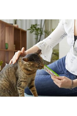 Ciao Churu Tavuklu ve Deniz Taraklı Krema Kedi Ödülü 4 x 14 gr