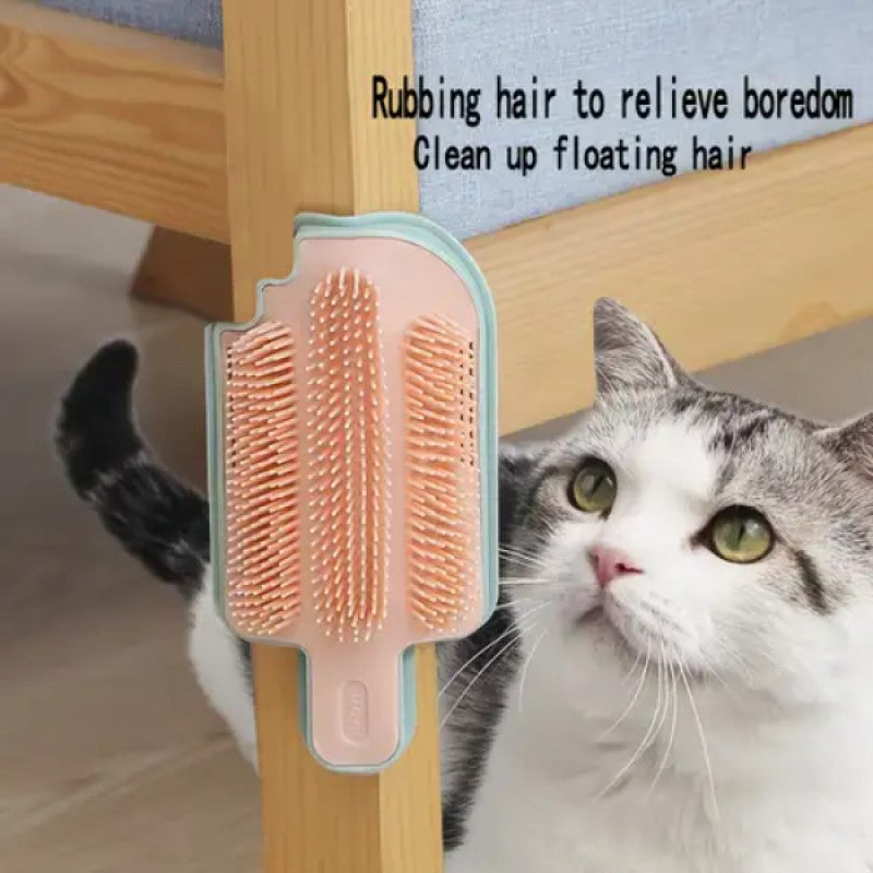 Duvara Monte Kedi Otu Hazneli Kedi Kaşınma Aparatı