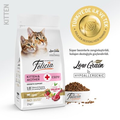 Felicia Kuzu Etli Az Tahıllı Yavru ve Hamile Kedi Maması 2 kg