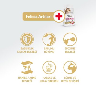 Felicia Kuzu Etli Az Tahıllı Yavru ve Hamile Kedi Maması 2 kg