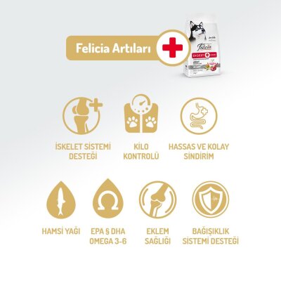 Felicia Hipoalerjenik Kuzu-Pirinçli Köpek Maması 15 kg