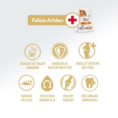 Felicia Mini Somonlu Hipoalerjenik Köpek Maması 3 kg
