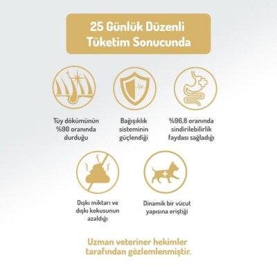 Felicia Mini Somonlu Hipoalerjenik Köpek Maması 3 kg