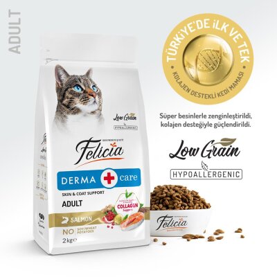 Alerjik Bünye için Somonlu Hipoalerjenik 2 kg Kedi Maması