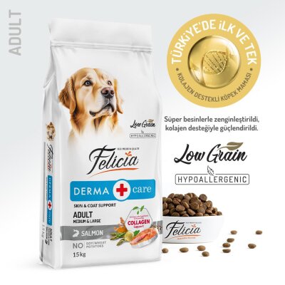 Felicia Hipoalerjenik Somonlu Yetişkin Köpek Maması 15 kg